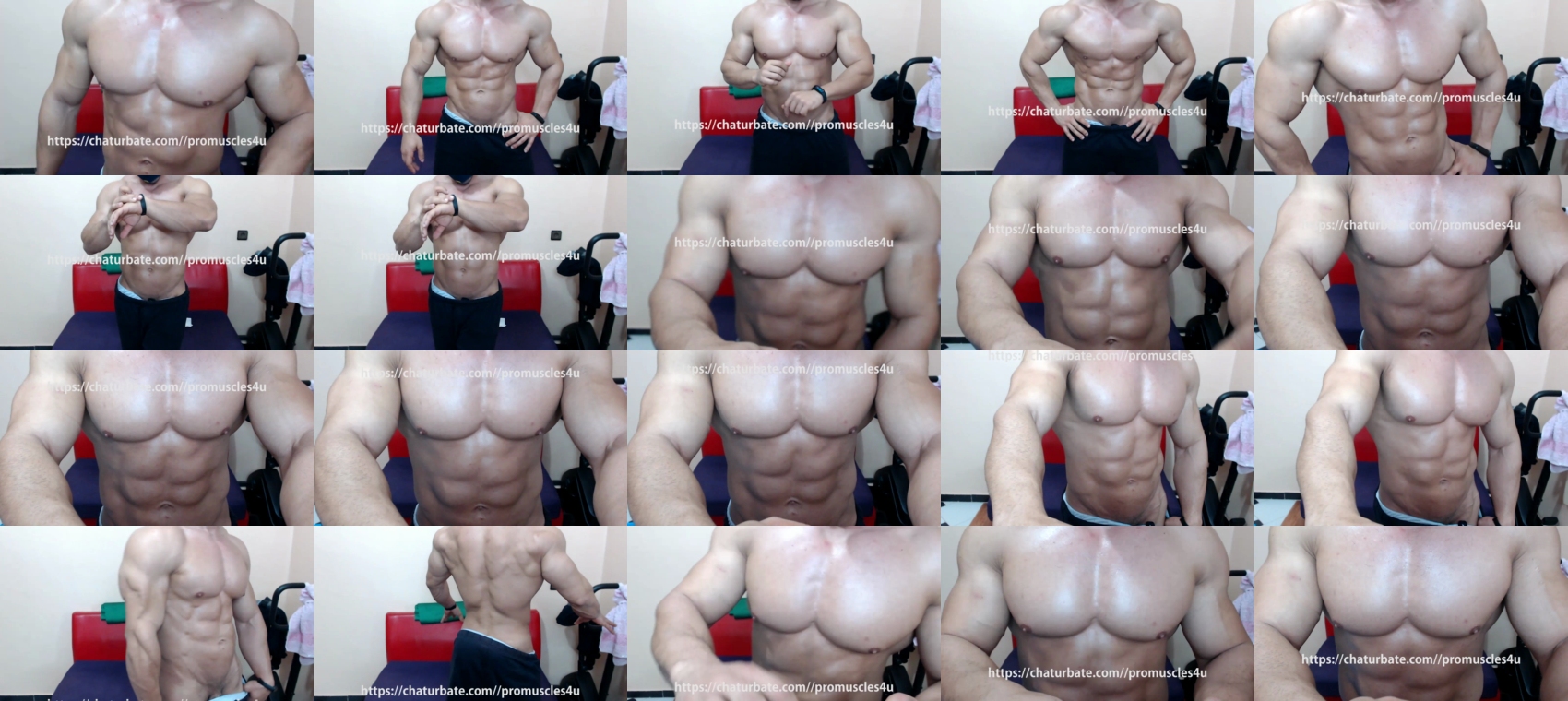 promuscles4u  24-12-2021